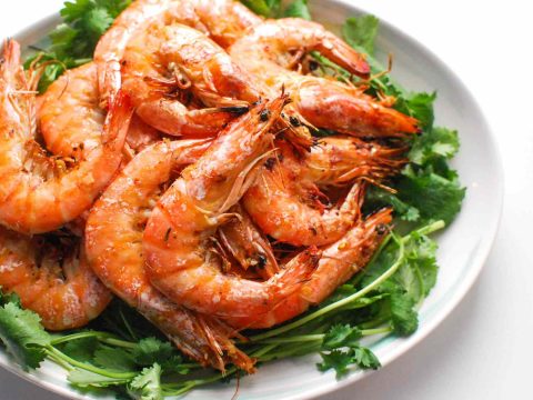 Shrimp